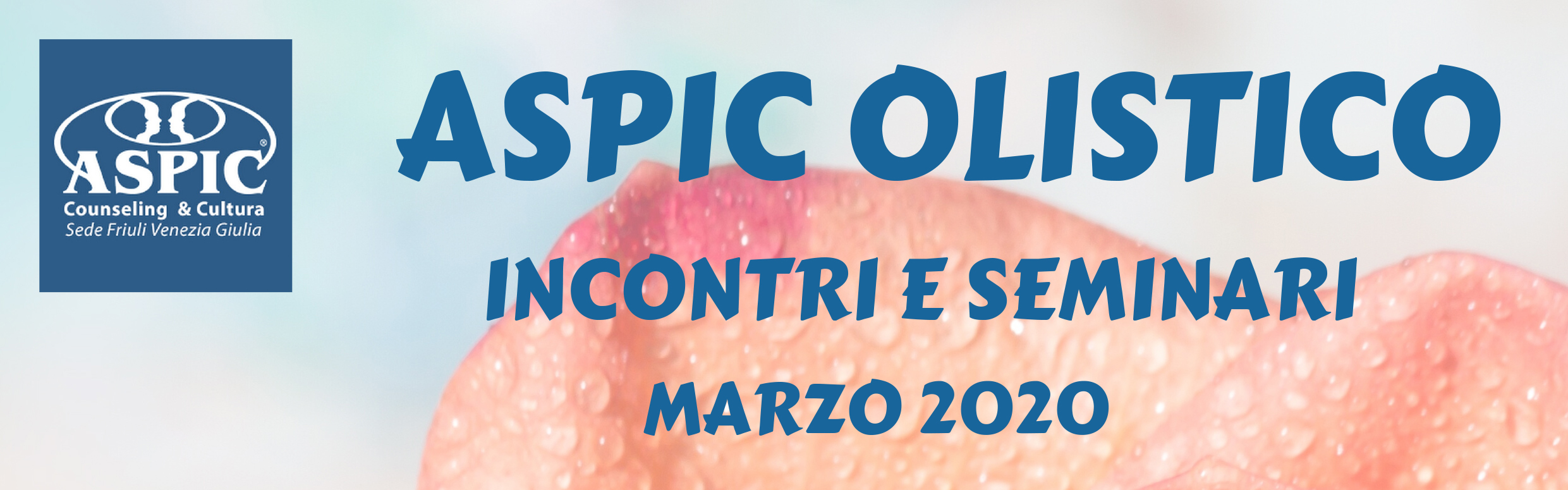 Al momento stai visualizzando Aspic Olistico